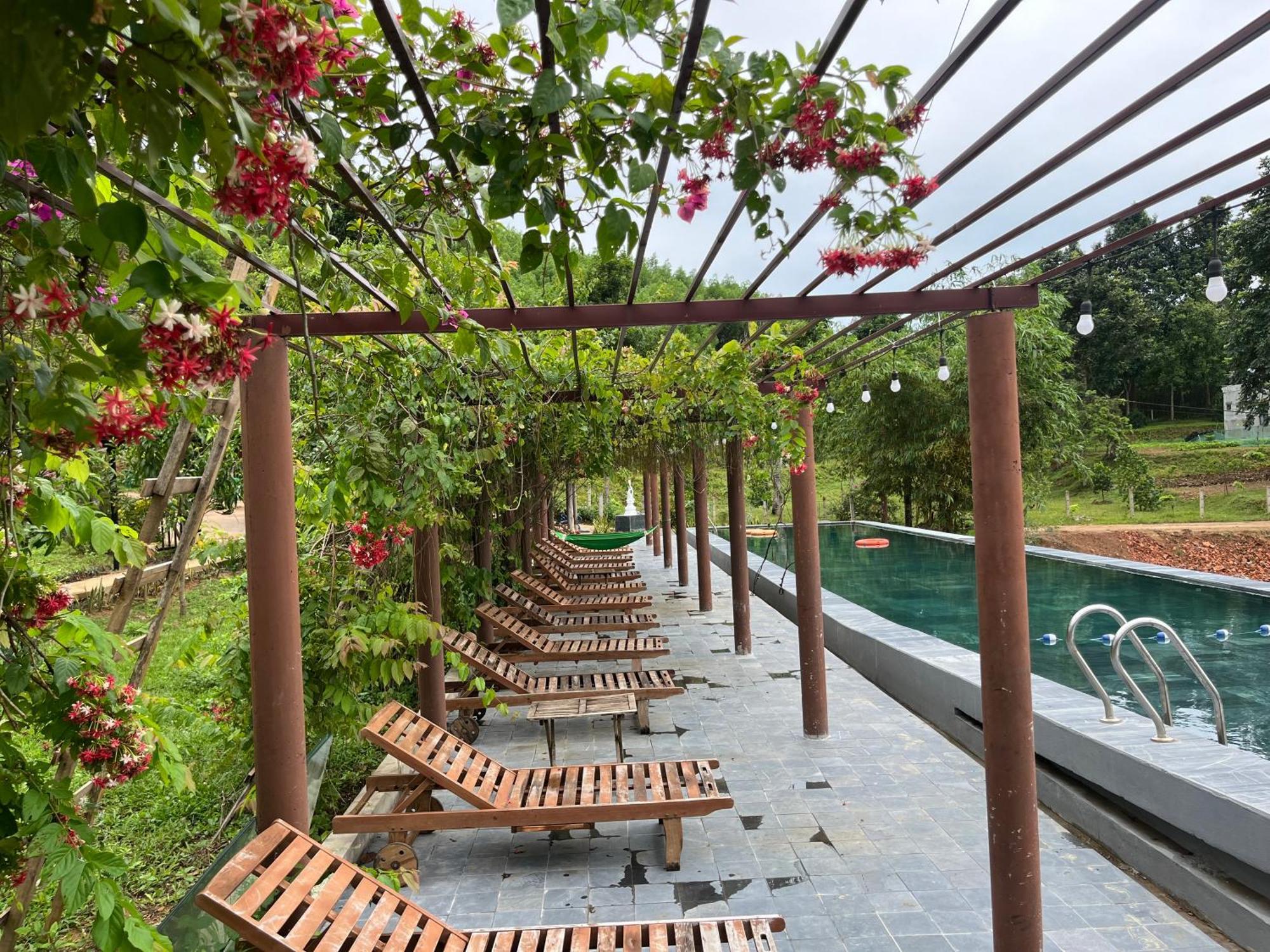 Nguyen Shack Retreat Resort Phong Nha Exteriör bild