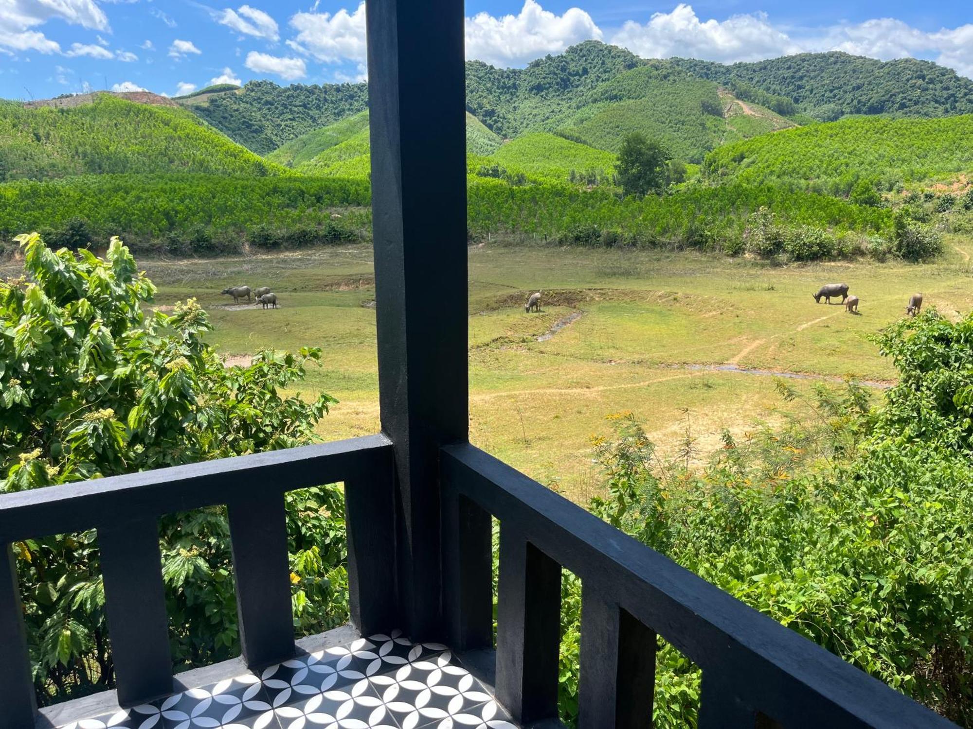 Nguyen Shack Retreat Resort Phong Nha Exteriör bild