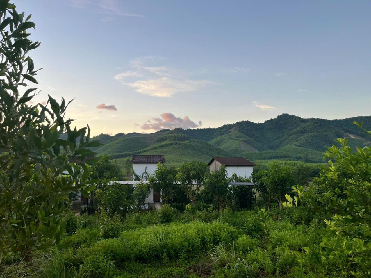 Nguyen Shack Retreat Resort Phong Nha Exteriör bild