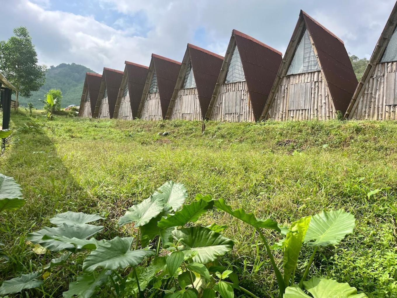 Nguyen Shack Retreat Resort Phong Nha Exteriör bild